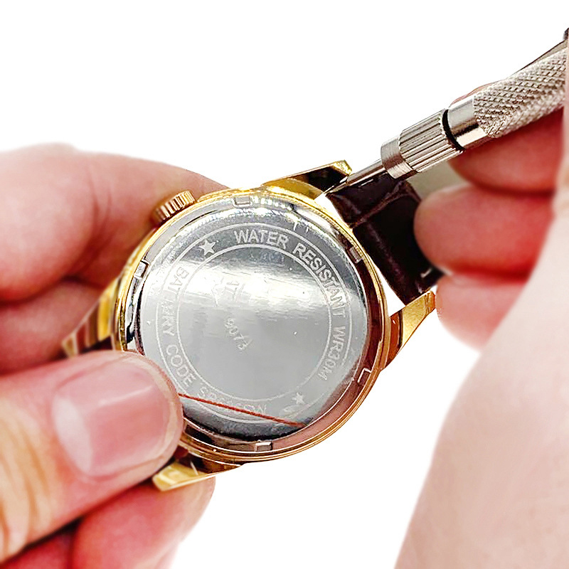 4Pin Replace Watch Strap Sprin - Spring Bar Tool Set ulasan dan harga