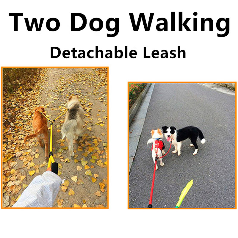 Dog Leash Double Leashes for D - Leather Strap Quick Release ulasan dan harga
